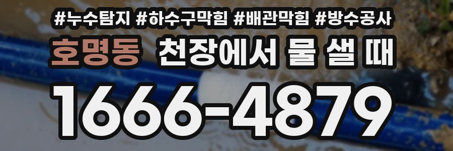 호명동 천장에서 물 샐 때