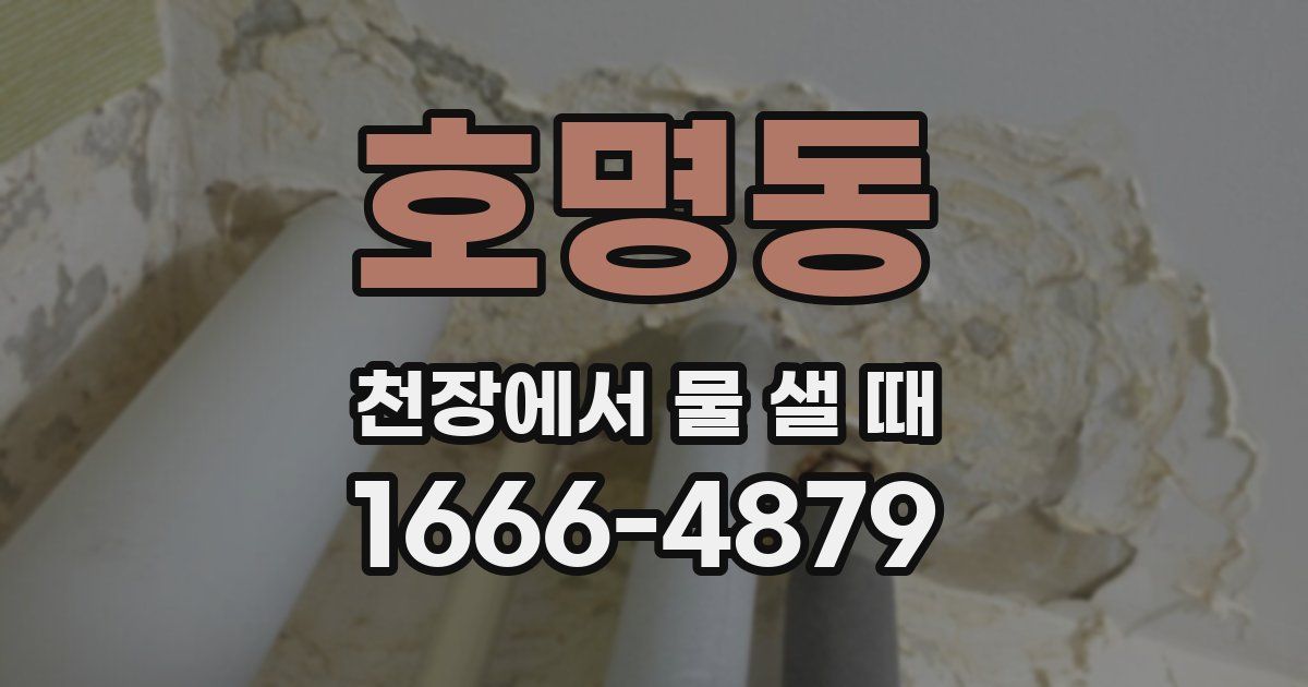 호명동 천장에서 물 샐 때