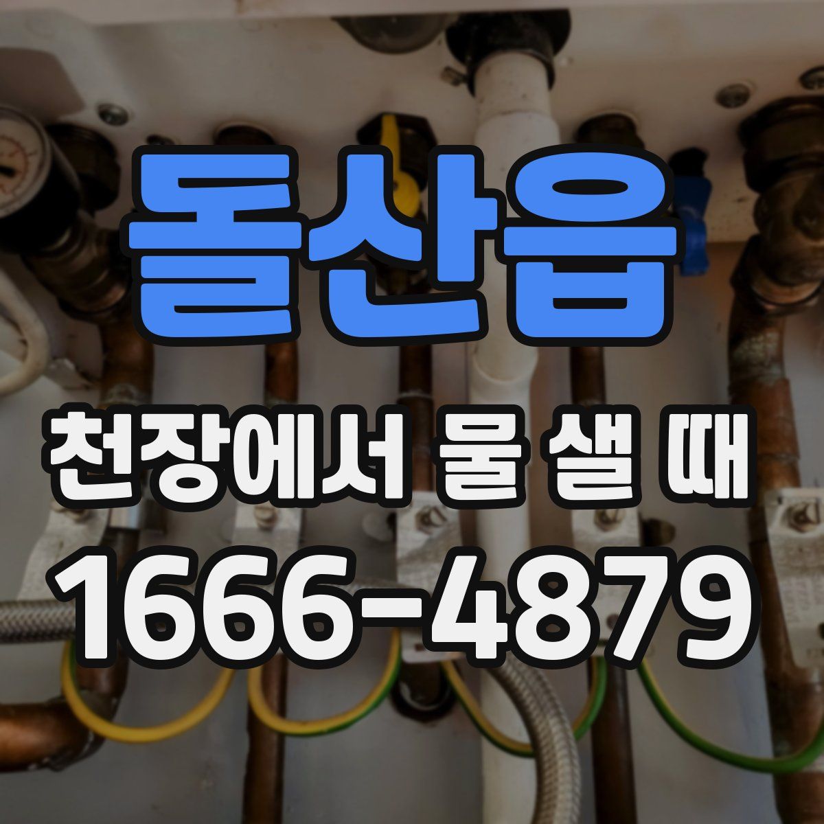 돌산읍 천장에서 물 샐 때