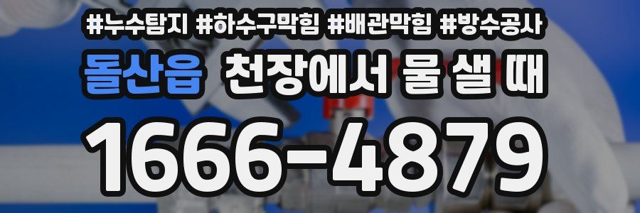 돌산읍 천장에서 물 샐 때