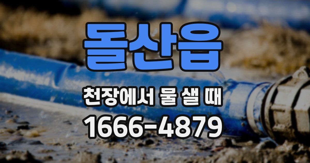 돌산읍 천장에서 물 샐 때