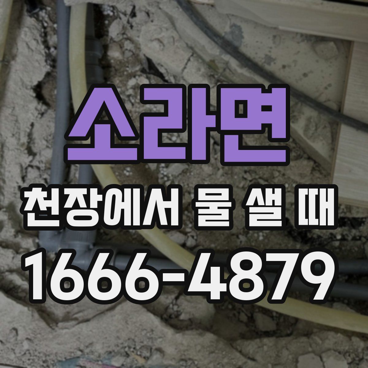 소라면 천장에서 물 샐 때