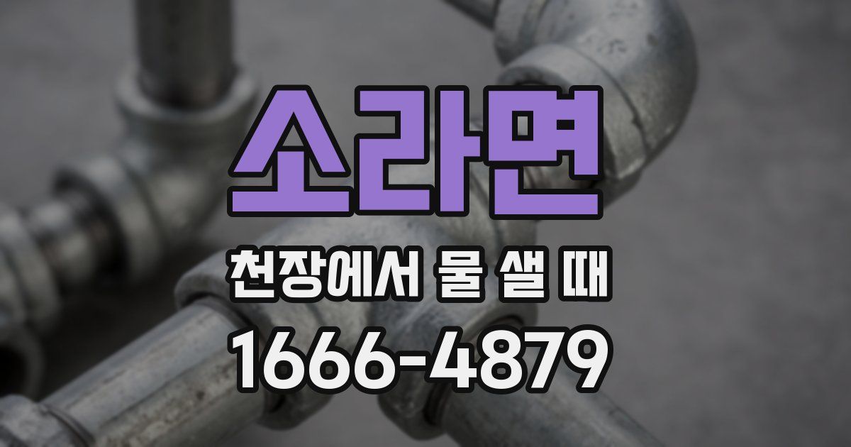소라면 천장에서 물 샐 때