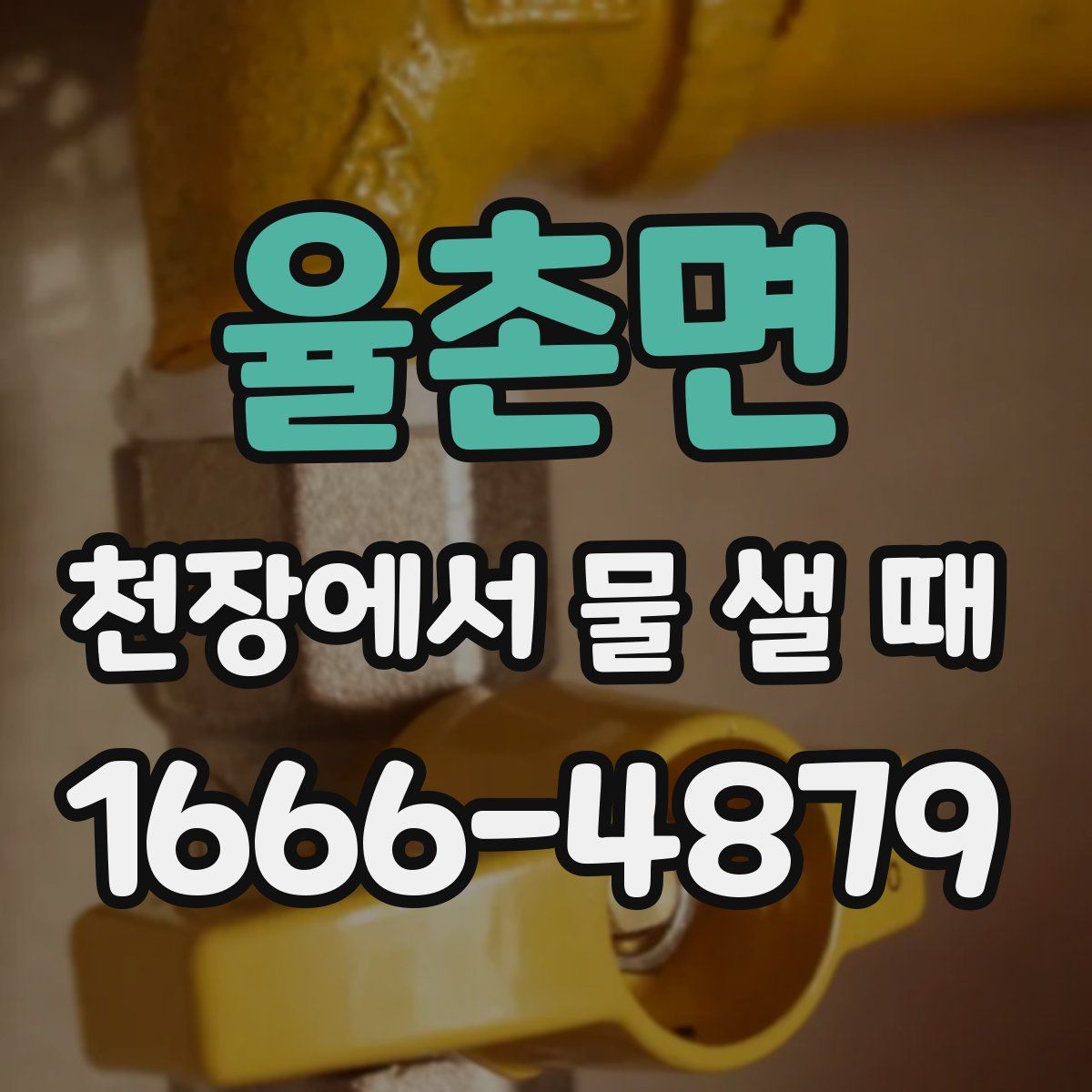 율촌면 천장에서 물 샐 때