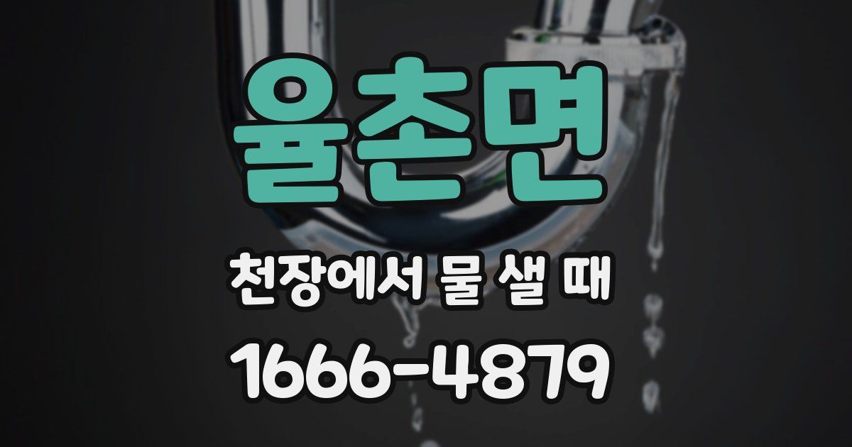 율촌면 천장에서 물 샐 때