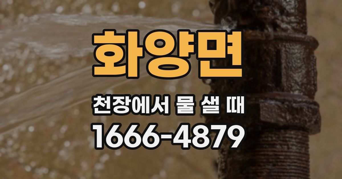 화양면 천장에서 물 샐 때