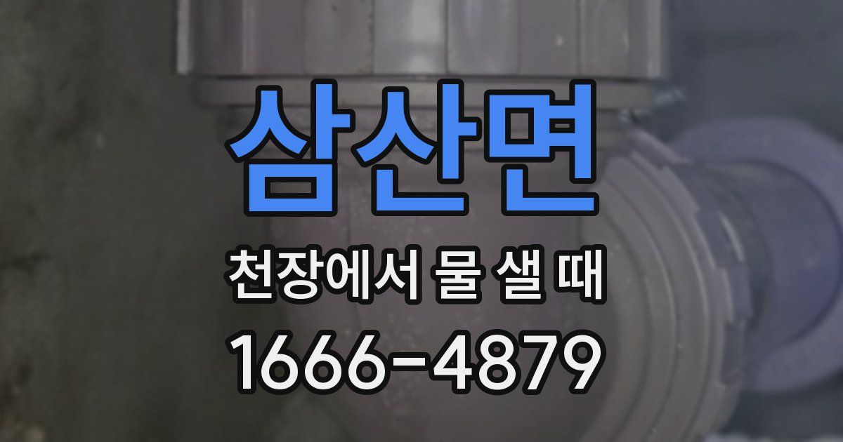 삼산면 천장에서 물 샐 때
