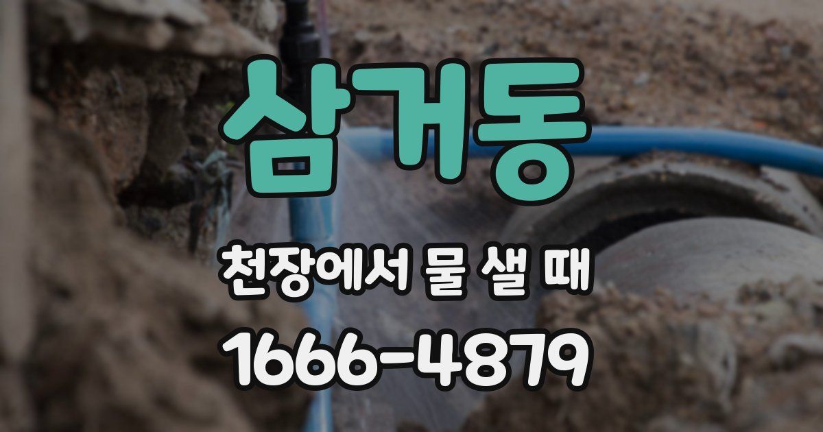 삼거동 천장에서 물 샐 때