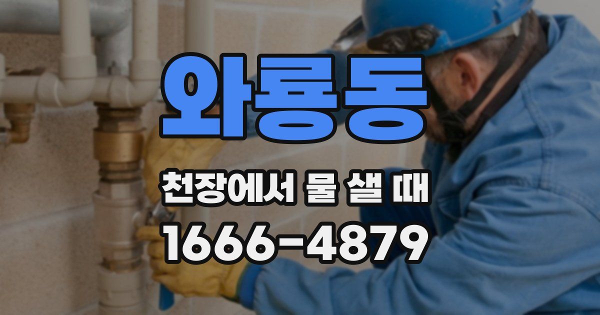 와룡동 천장에서 물 샐 때