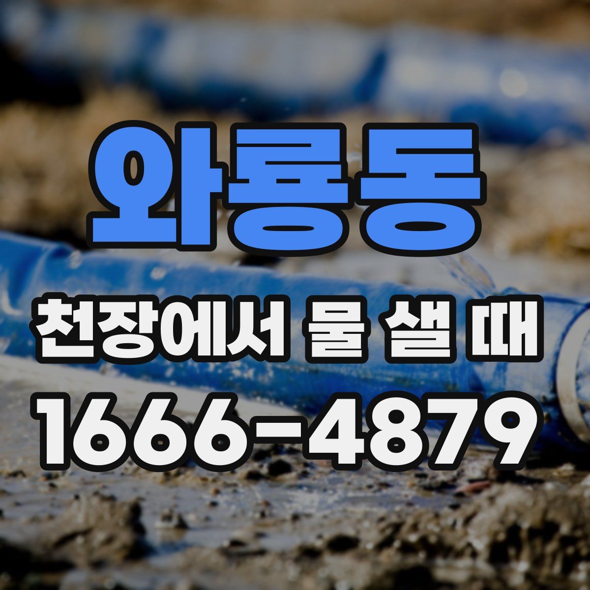 와룡동 천장에서 물 샐 때