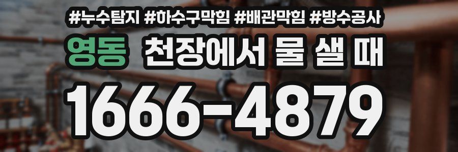 영동 천장에서 물 샐 때