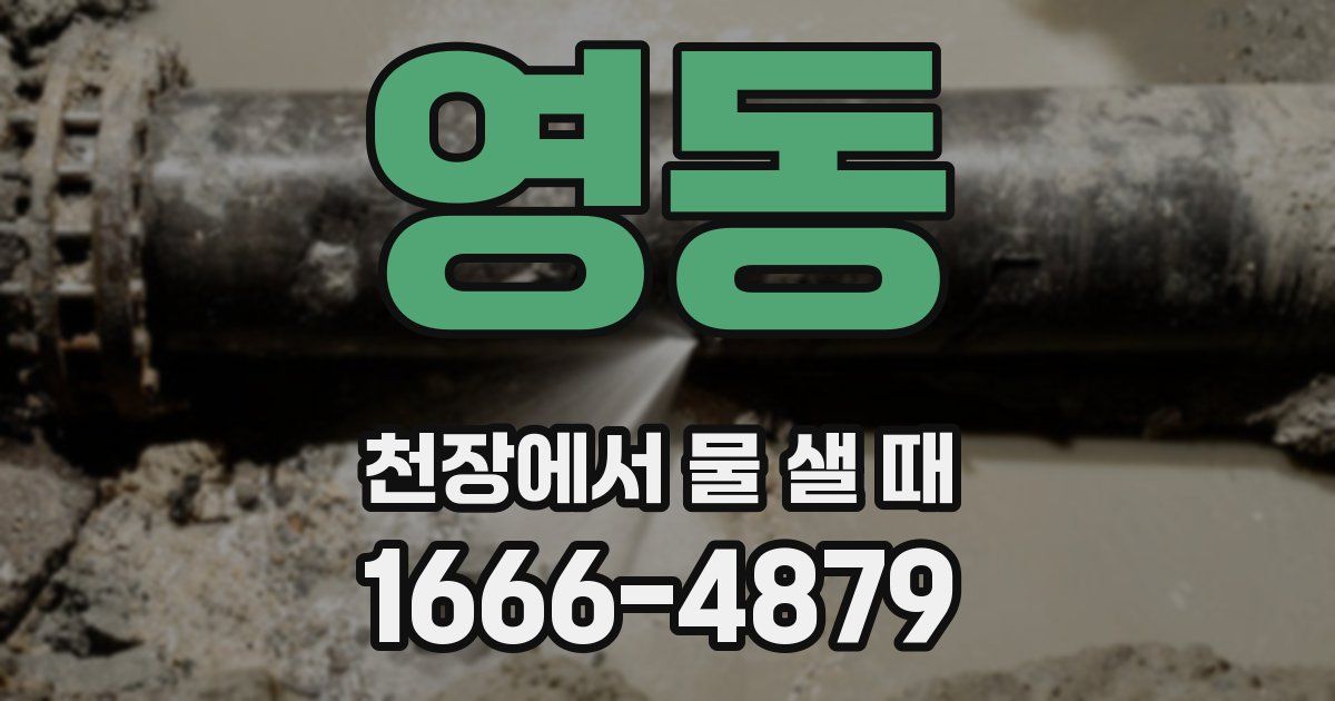 영동 천장에서 물 샐 때