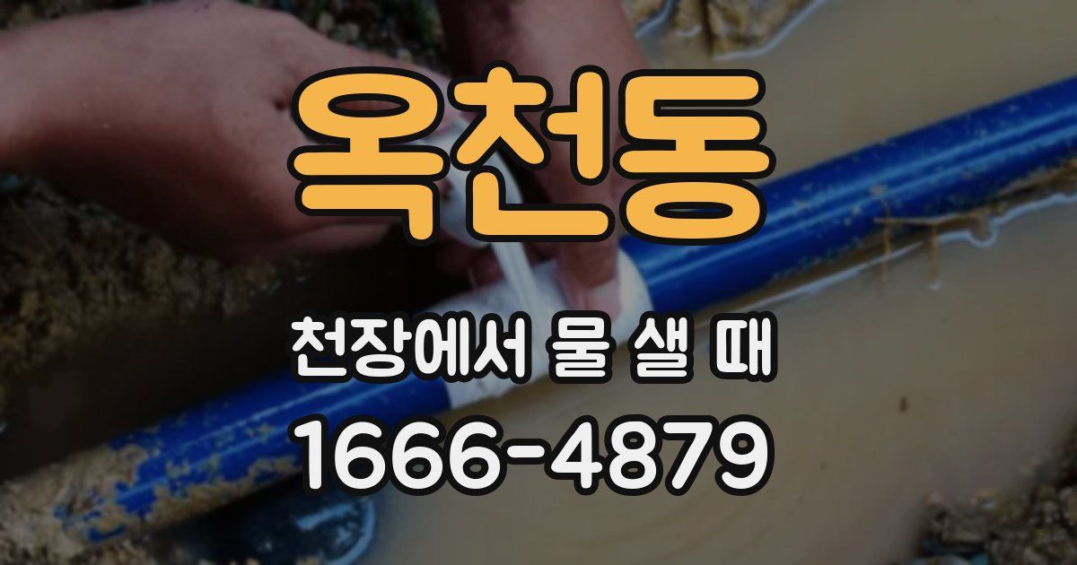 옥천동 천장에서 물 샐 때
