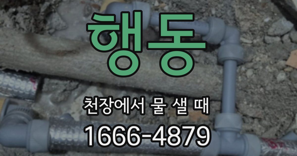 행동 천장에서 물 샐 때