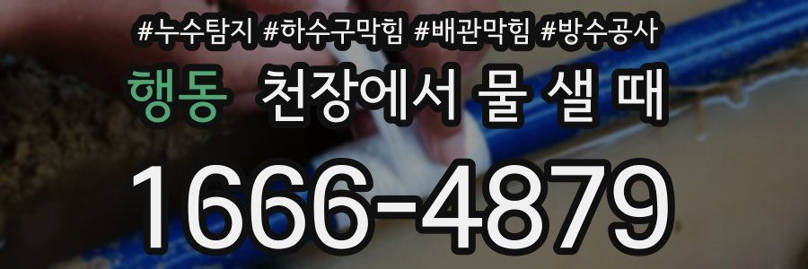 행동 천장에서 물 샐 때