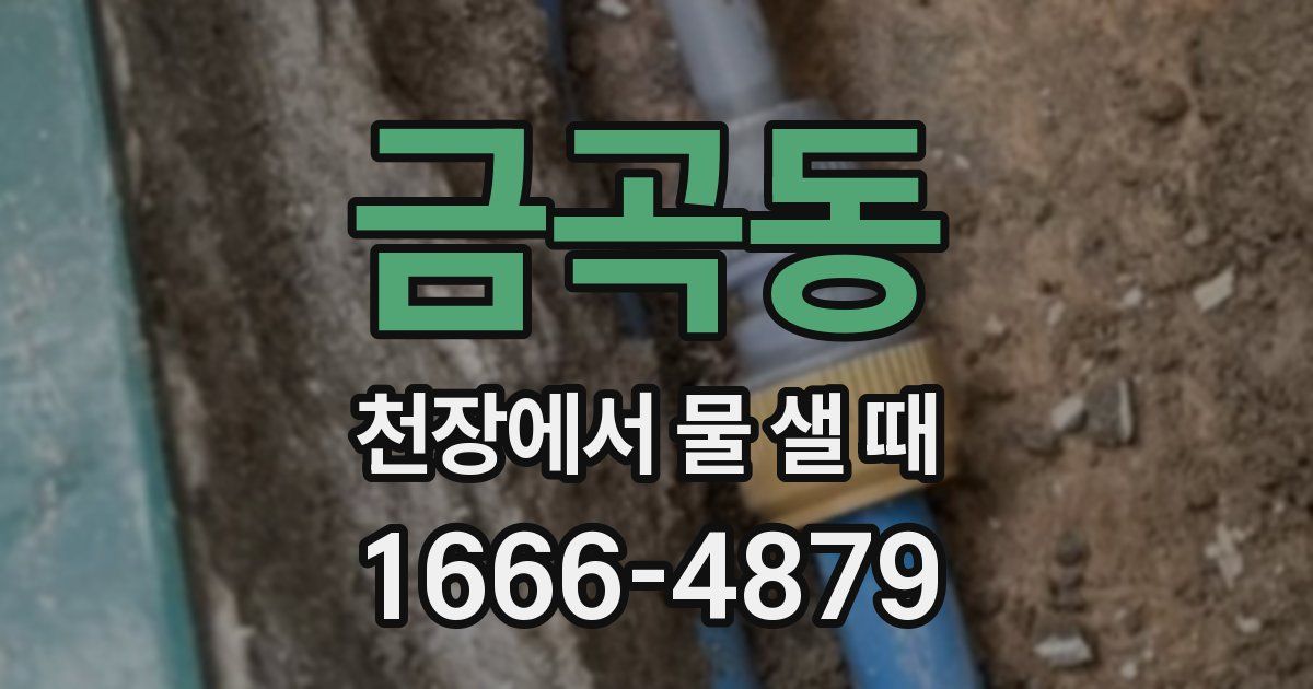금곡동 천장에서 물 샐 때