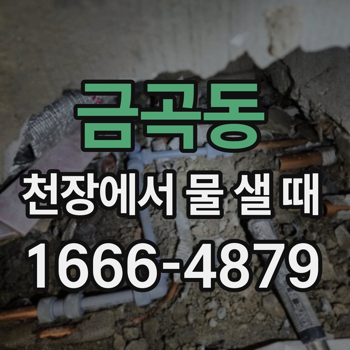 금곡동 천장에서 물 샐 때