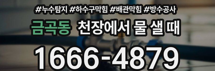금곡동 천장에서 물 샐 때