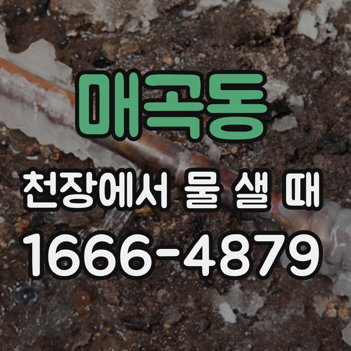 매곡동 천장에서 물 샐 때