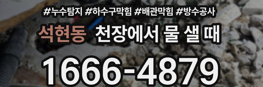 석현동 천장에서 물 샐 때