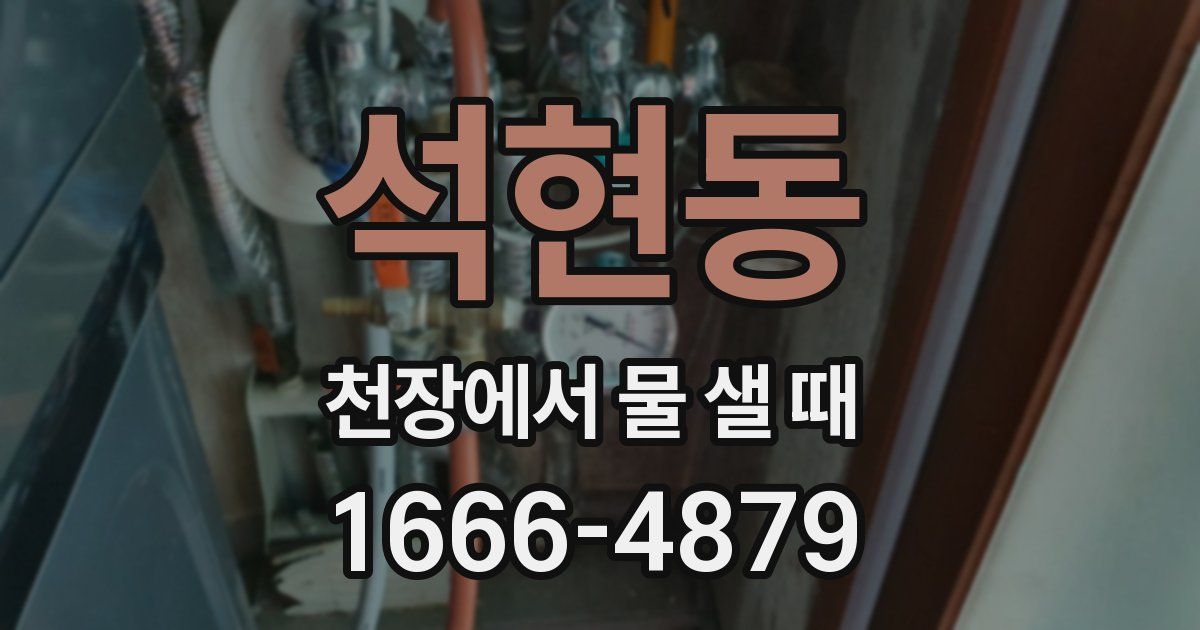 석현동 천장에서 물 샐 때