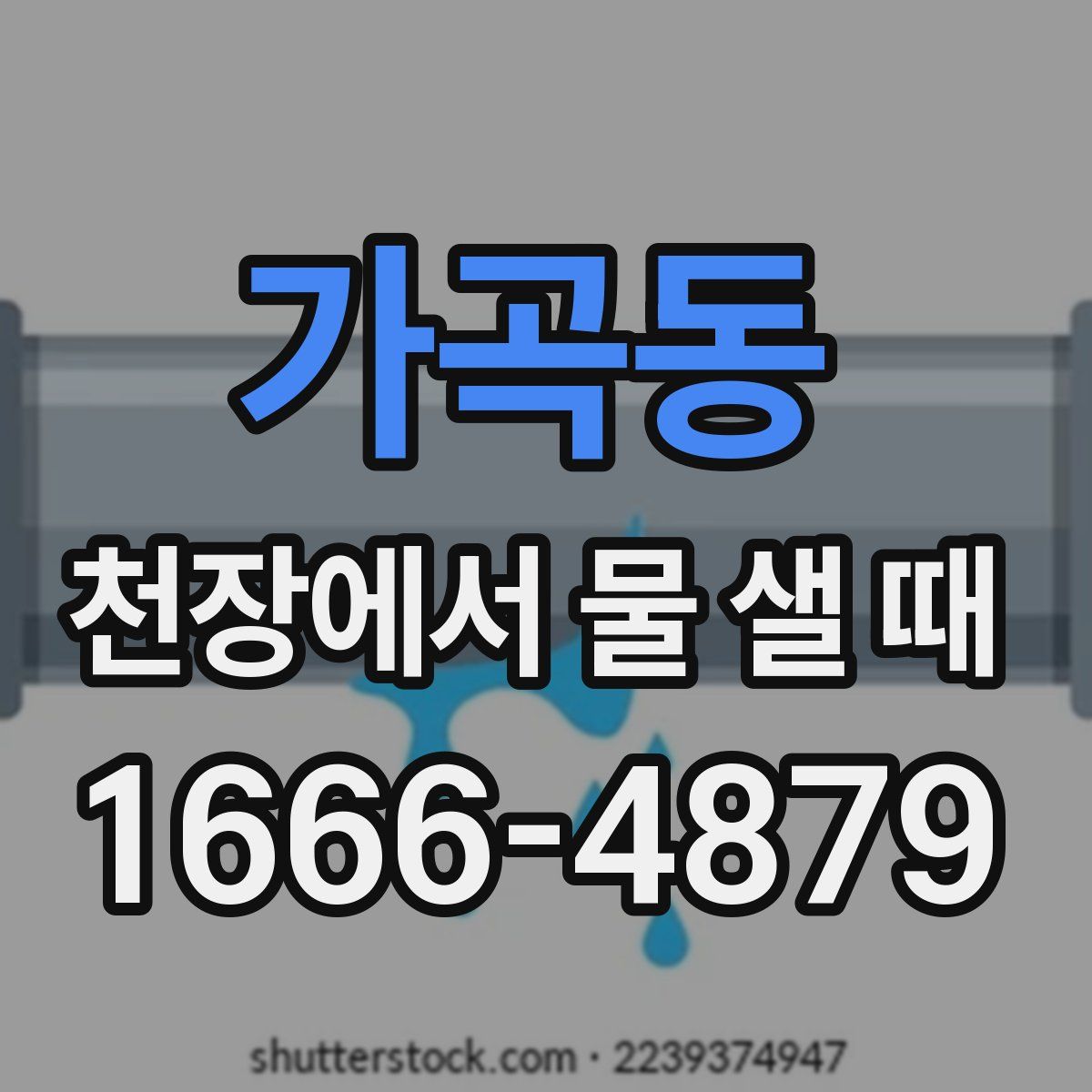 가곡동 천장에서 물 샐 때