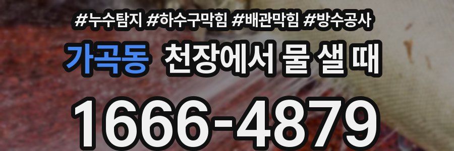 가곡동 천장에서 물 샐 때