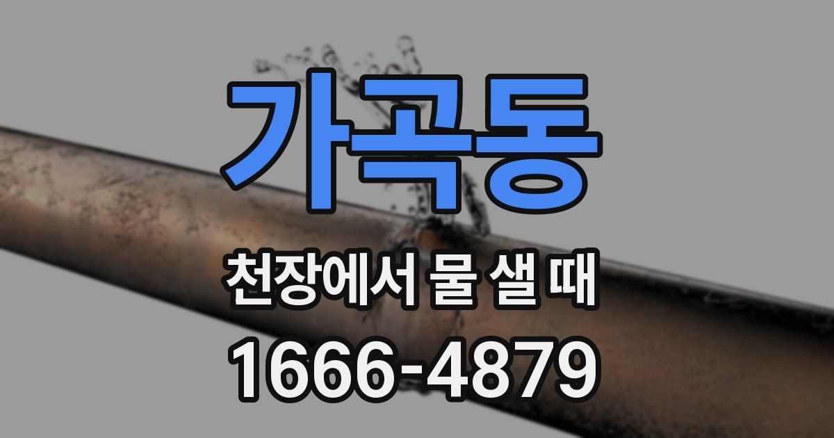 가곡동 천장에서 물 샐 때