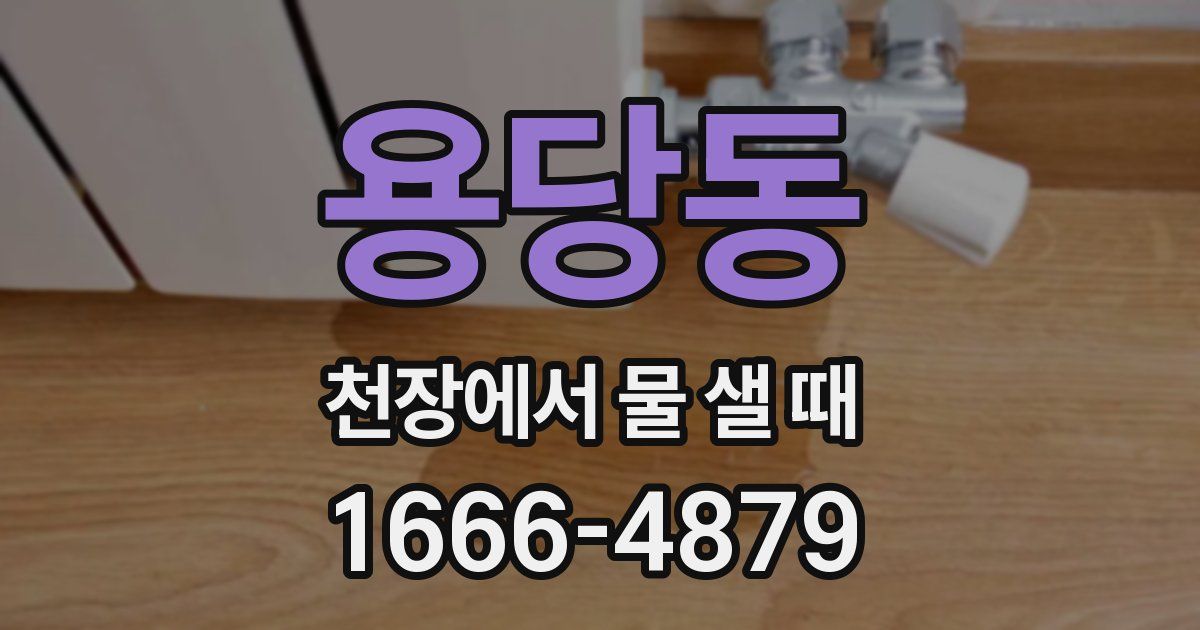 용당동 천장에서 물 샐 때