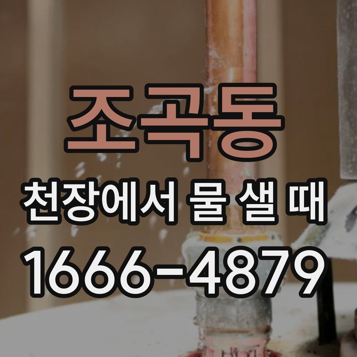 조곡동 천장에서 물 샐 때