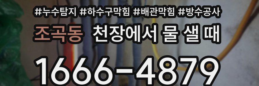 조곡동 천장에서 물 샐 때