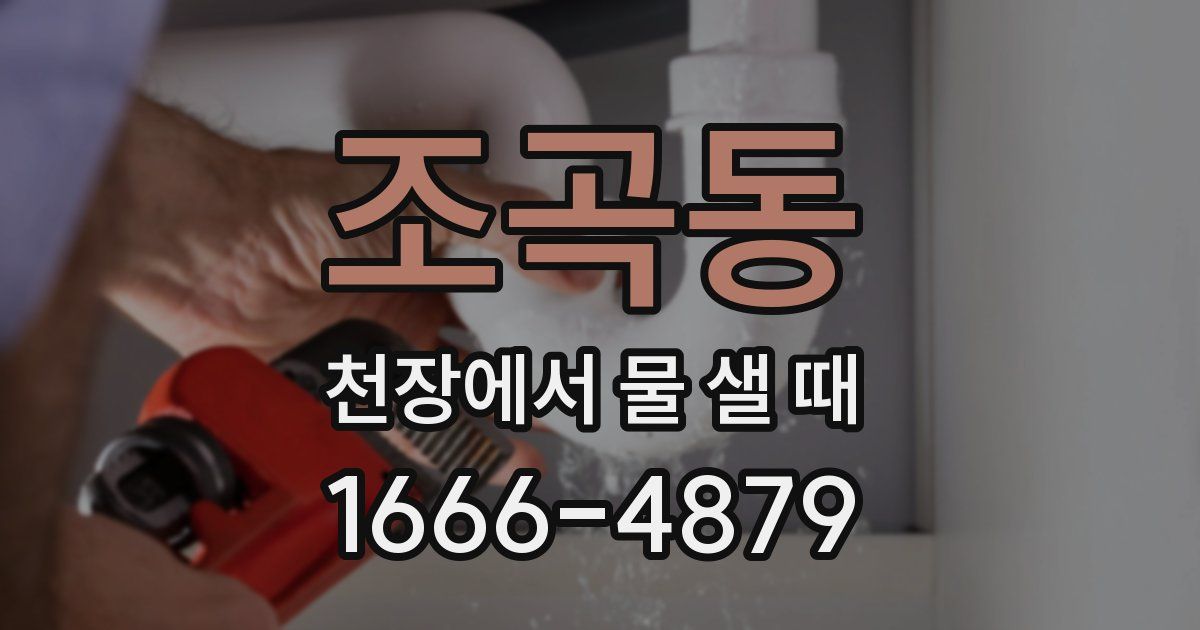 조곡동 천장에서 물 샐 때
