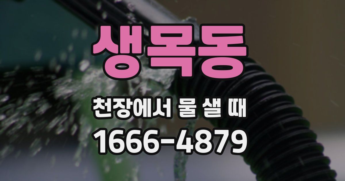 생목동 천장에서 물 샐 때