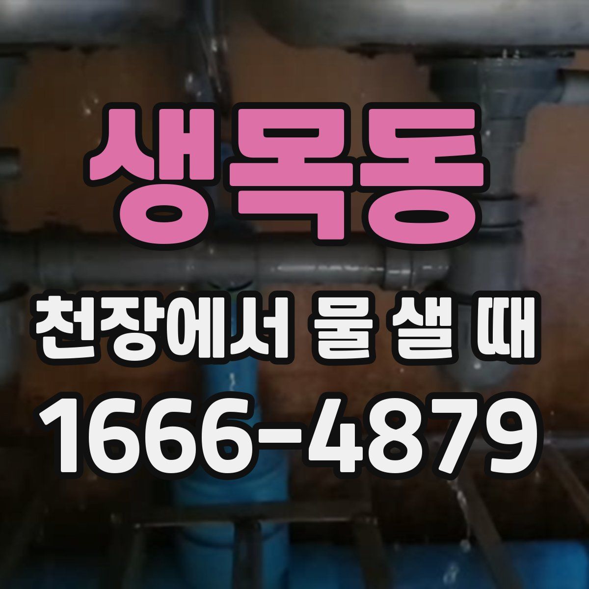 생목동 천장에서 물 샐 때
