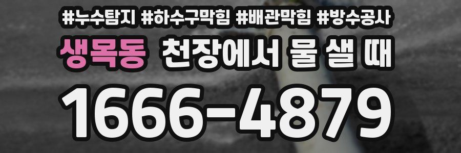 생목동 천장에서 물 샐 때