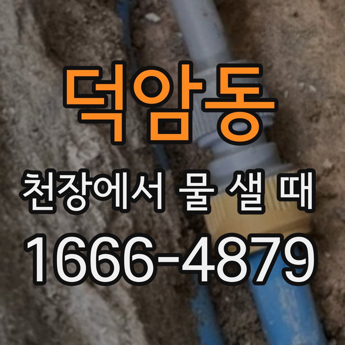 덕암동 천장에서 물 샐 때