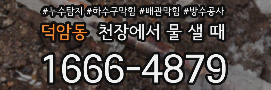 덕암동 천장에서 물 샐 때