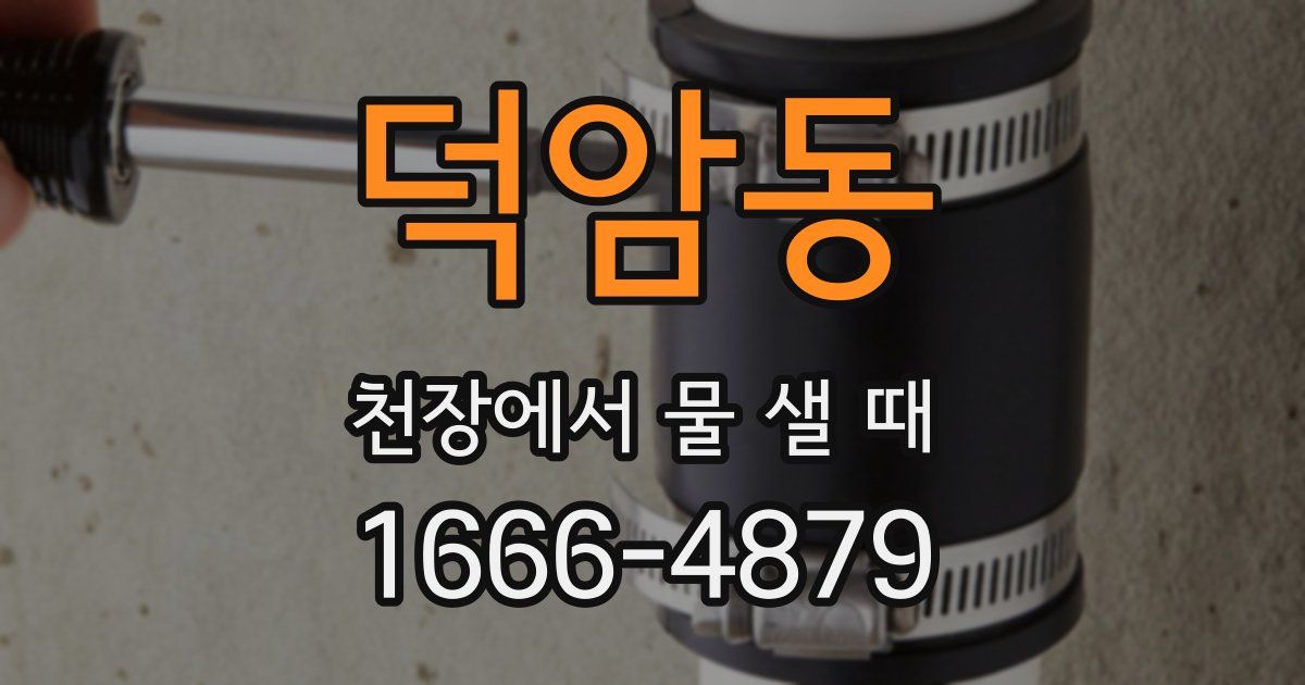 덕암동 천장에서 물 샐 때