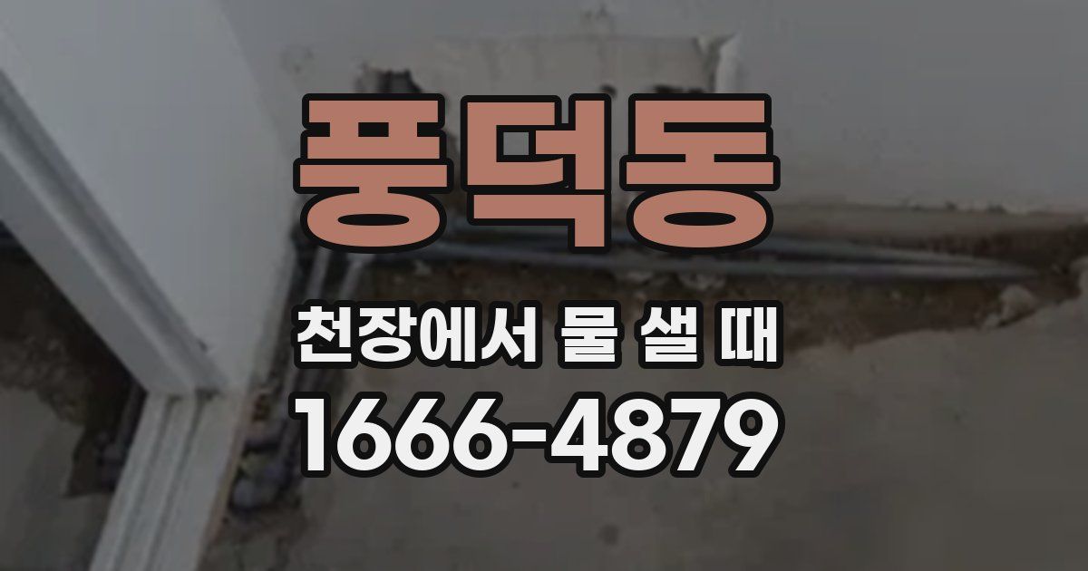 풍덕동 천장에서 물 샐 때