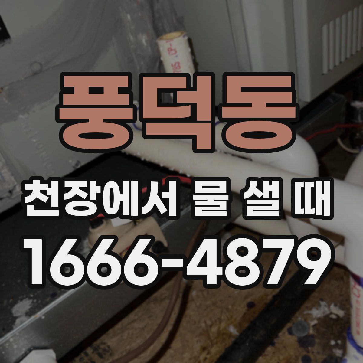 풍덕동 천장에서 물 샐 때
