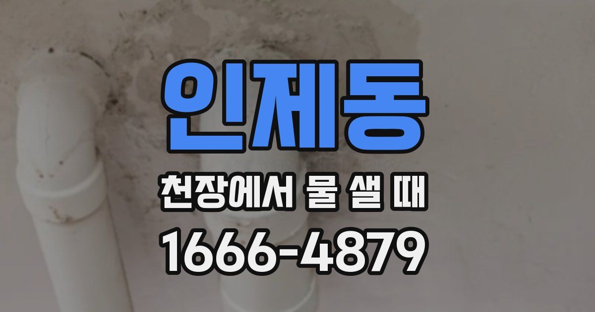 인제동 천장에서 물 샐 때