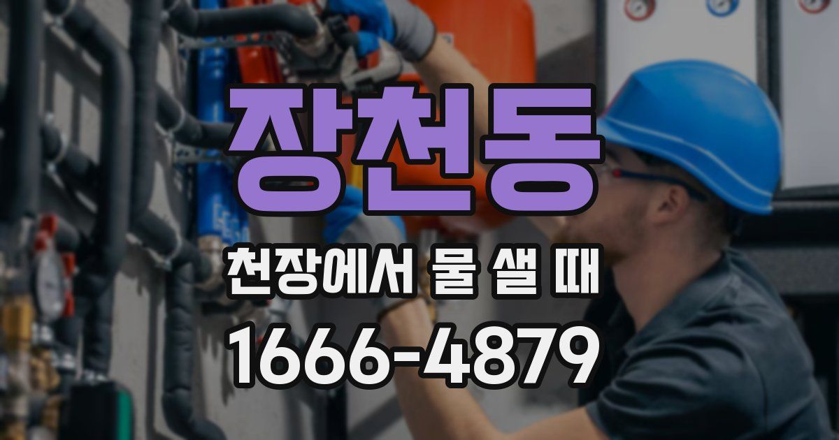 장천동 천장에서 물 샐 때