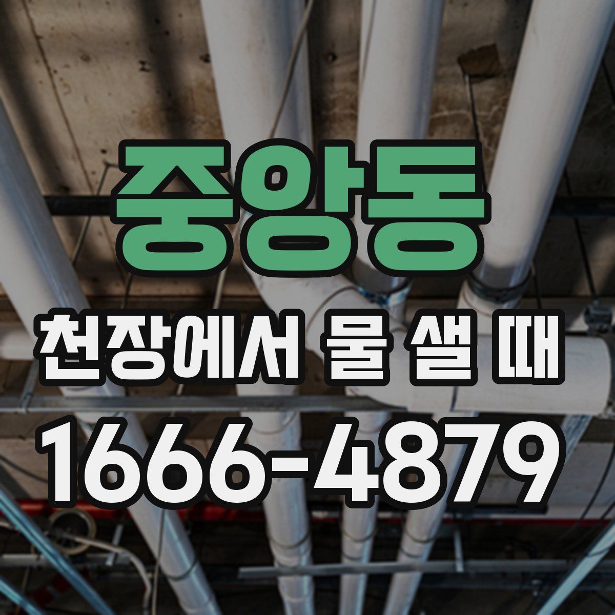 중앙동 천장에서 물 샐 때