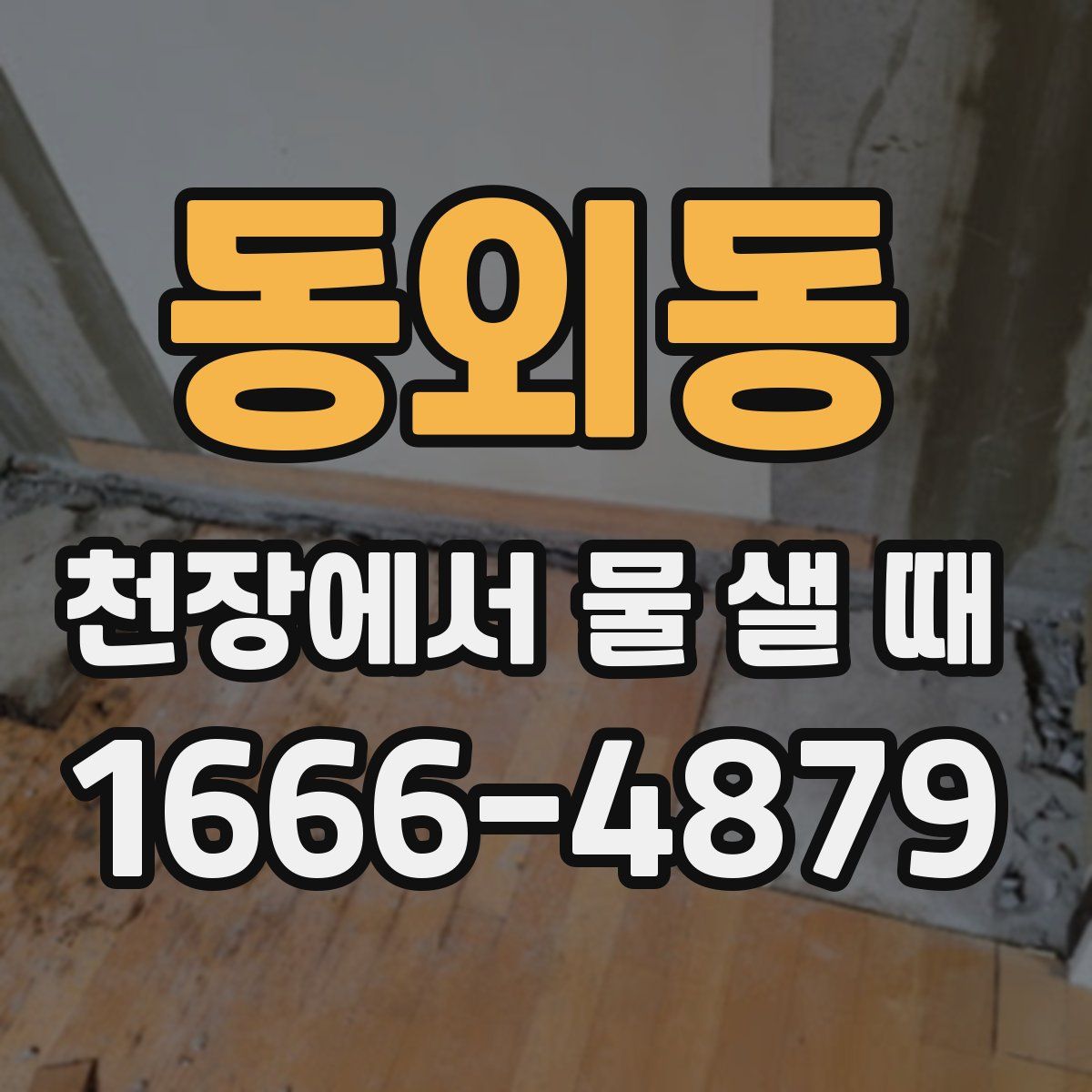 동외동 천장에서 물 샐 때