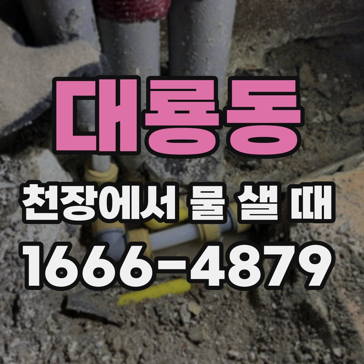 대룡동 천장에서 물 샐 때