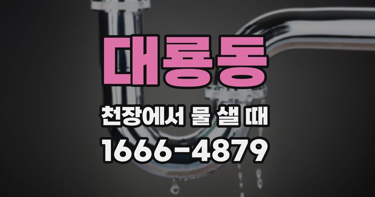 대룡동 천장에서 물 샐 때