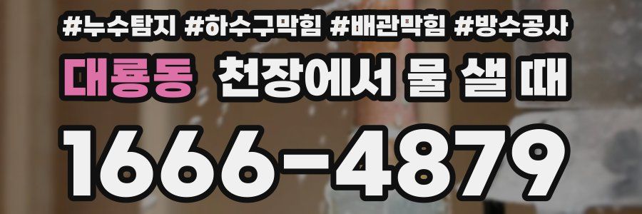 대룡동 천장에서 물 샐 때