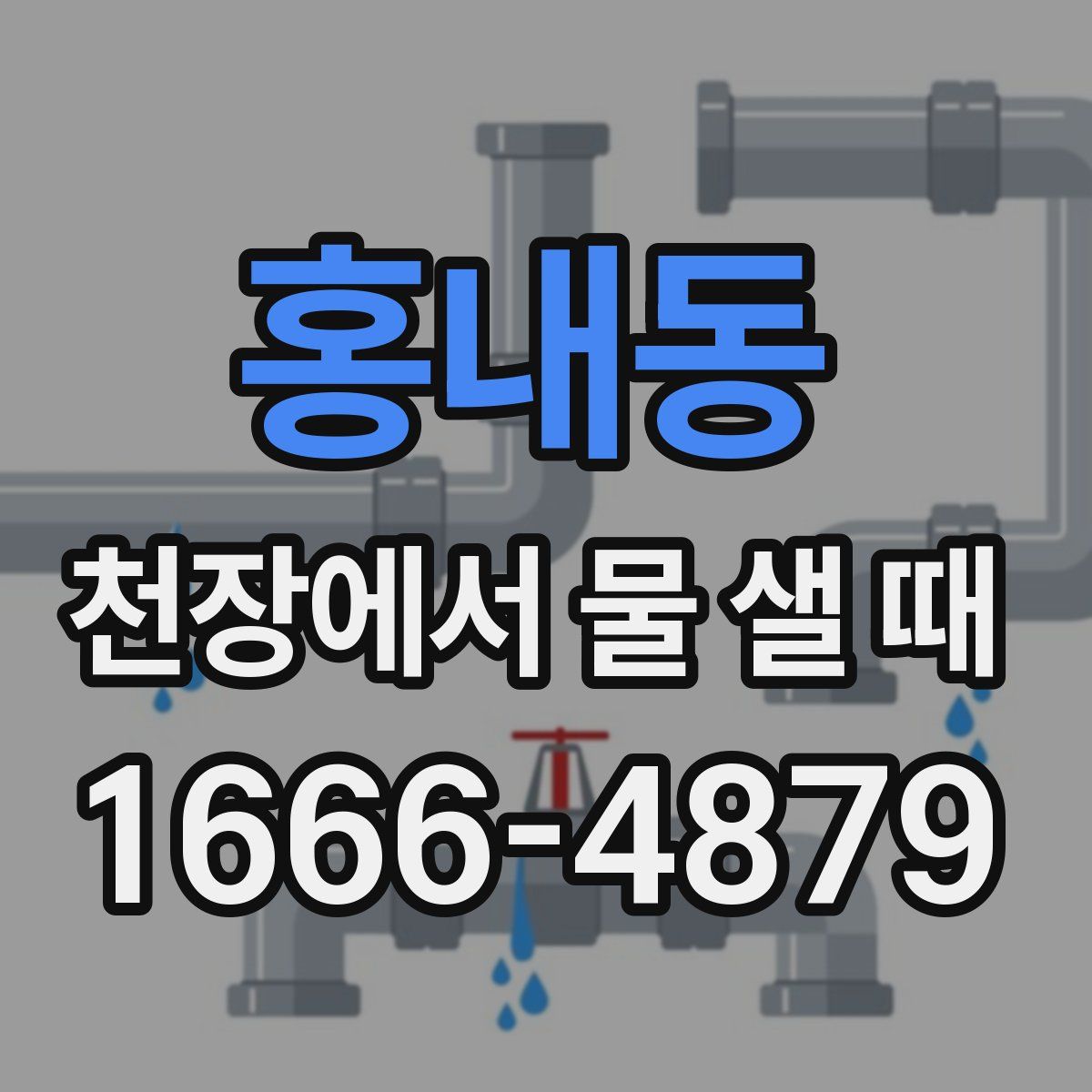 홍내동 천장에서 물 샐 때