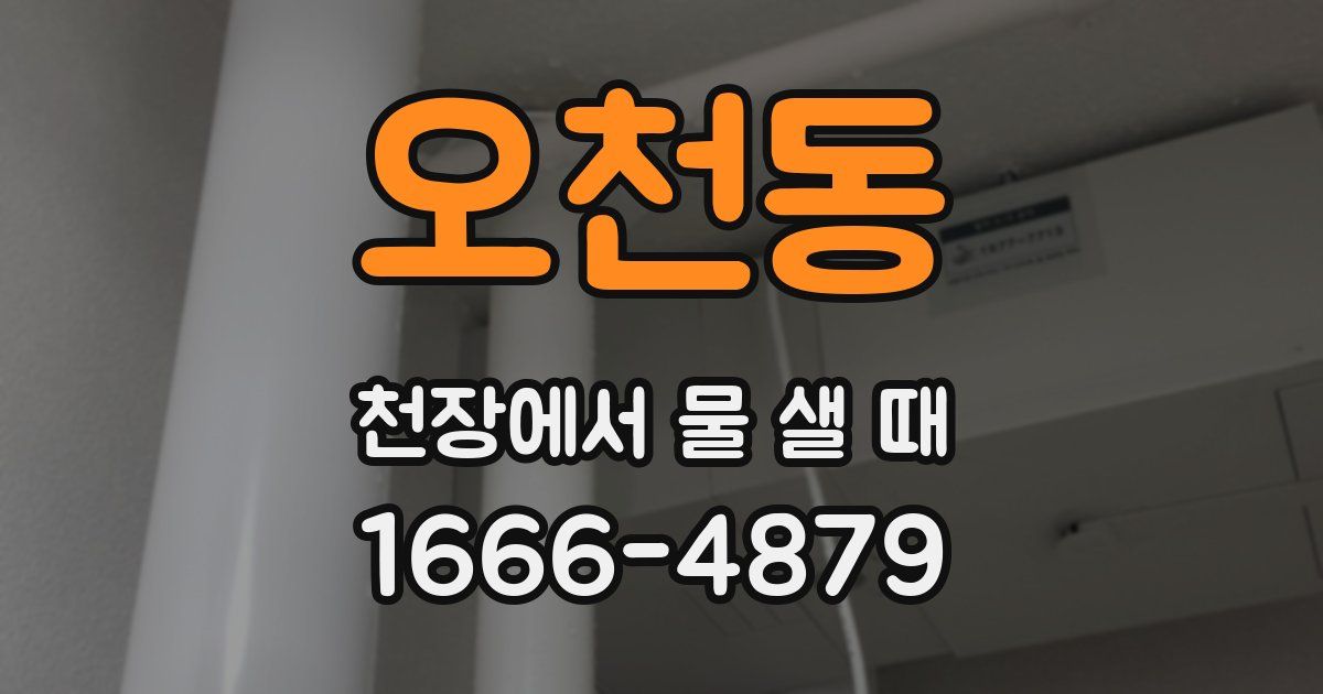 오천동 천장에서 물 샐 때