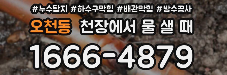 오천동 천장에서 물 샐 때
